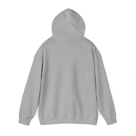 'Money Can't Buy Happiness, But It Can Buy Vinyl' Men's Hoodie