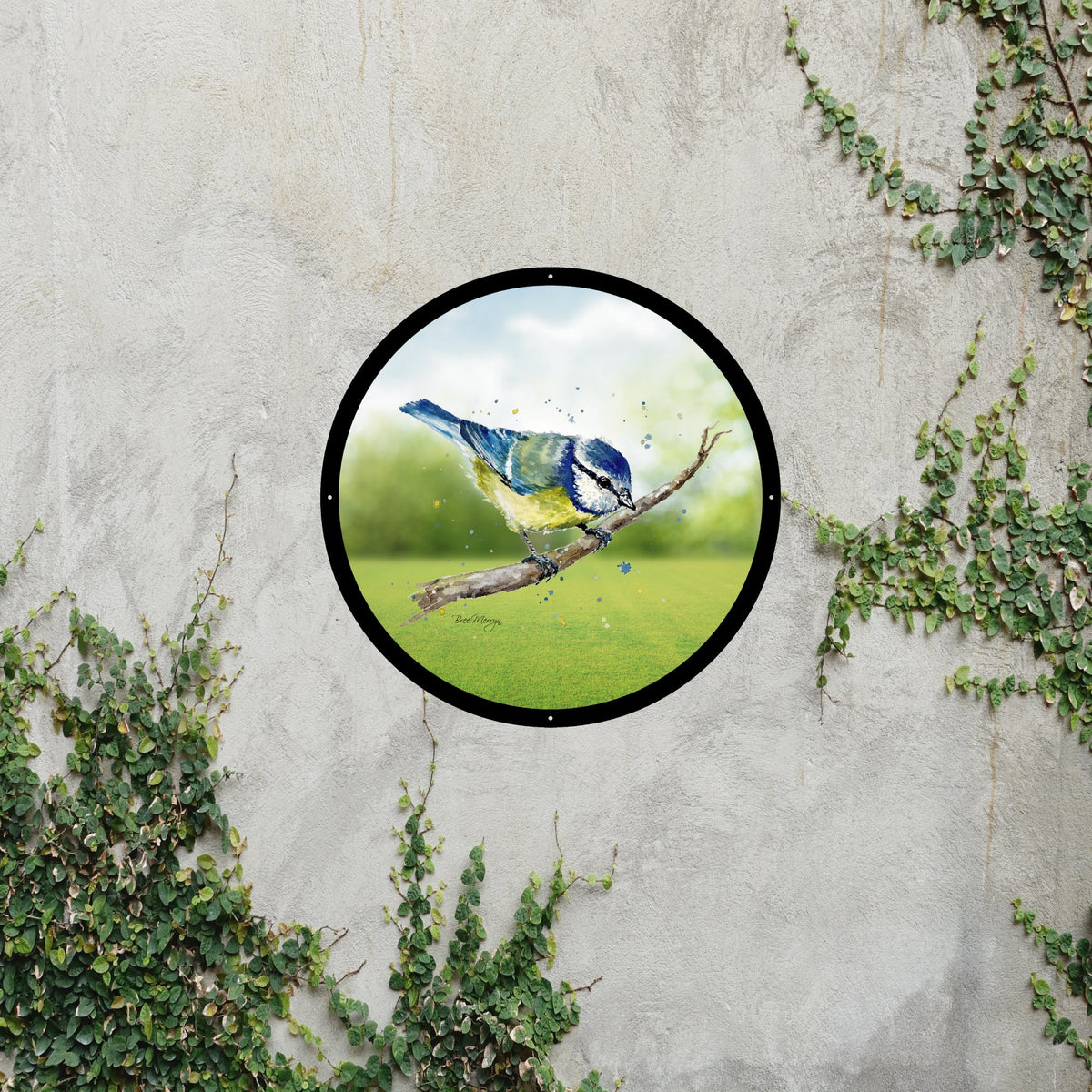 Blue Tit Garden Mirror