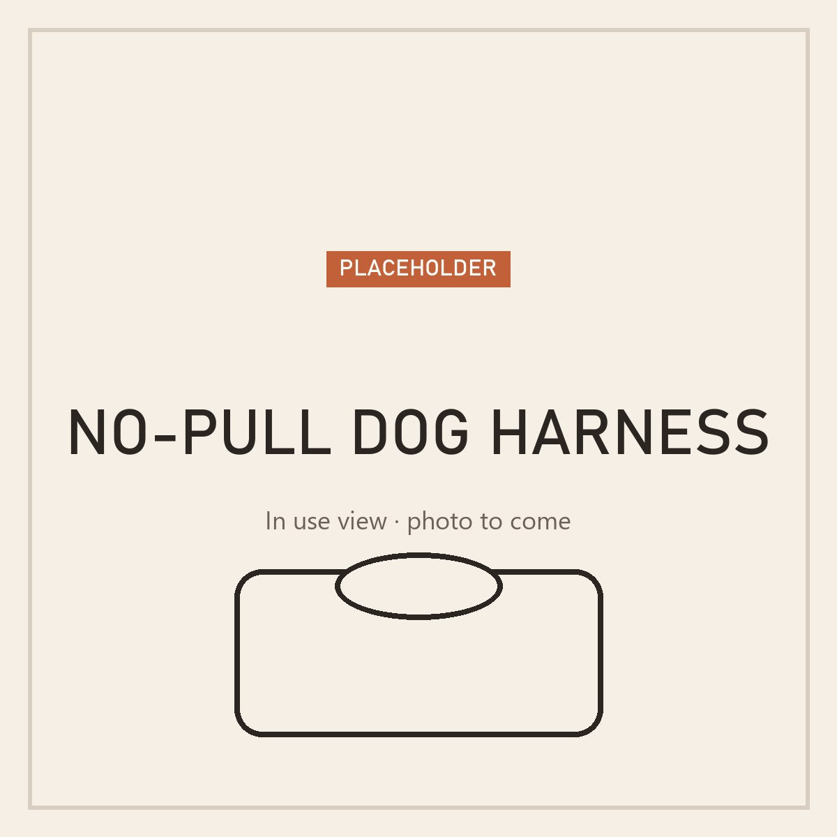 No-pull dog harness with handle, in use (placeholder)