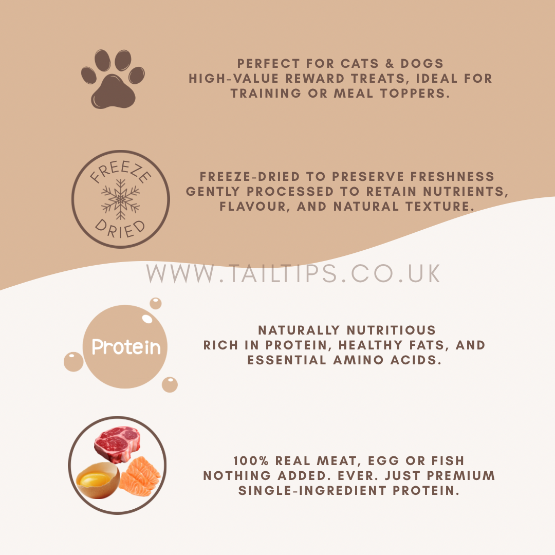 Gourmet Collection Bundle ⭐