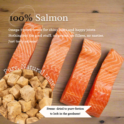 Cat Lovers Pack - Premium Freeze-Dried Treats | 4 Flavours | Tail Tips UK
