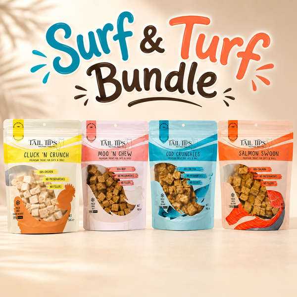 Surf & Turf Bundle 🌊🥩