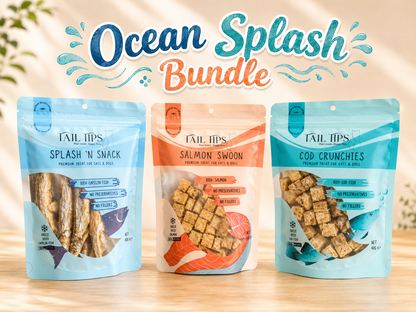 Ocean Splash Bundle 🌊