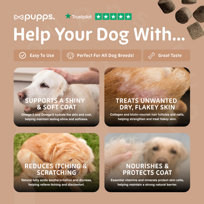 Skin & Coat Treats