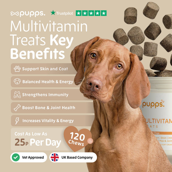 Multivitamin Treats