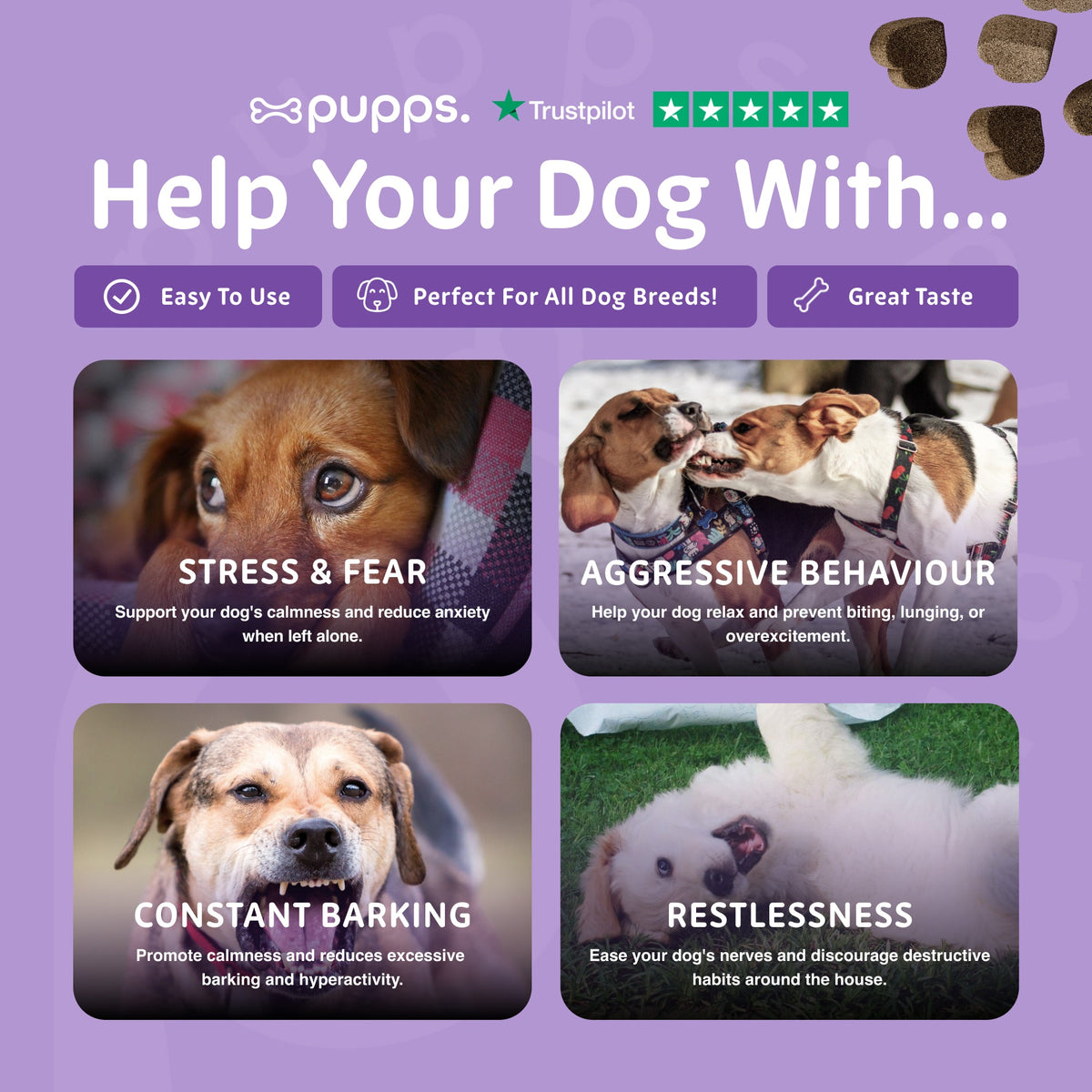 Calming Treats