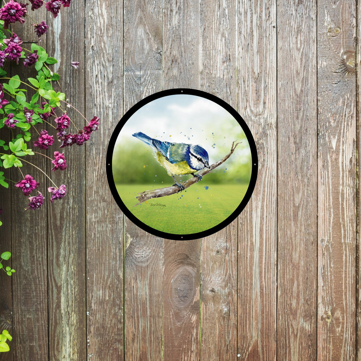 Blue Tit Garden Mirror