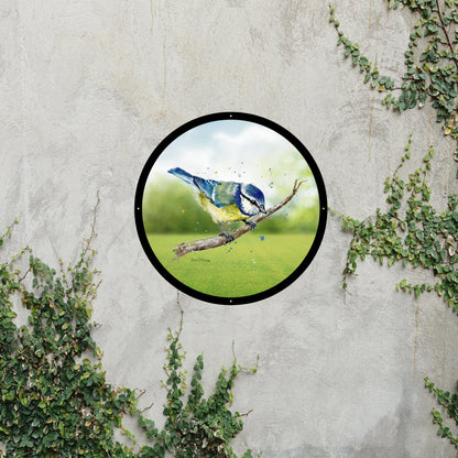 Blue Tit Garden Mirror