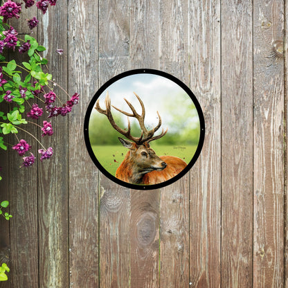 Sutherland Highland Stag Mirror