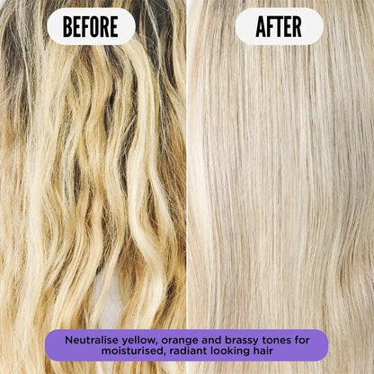 Purple Reign Tone Correcting Shampoo