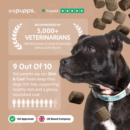 Skin & Coat Treats