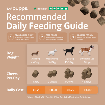 Skin & Coat Treats