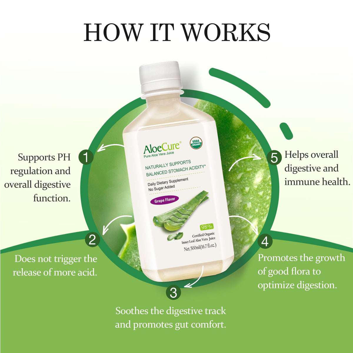 AloeCure USDA Organic Aloe Vera Juice – Grape Flavor, 16.7oz x 2 Bottles | Digestive & Immune Support