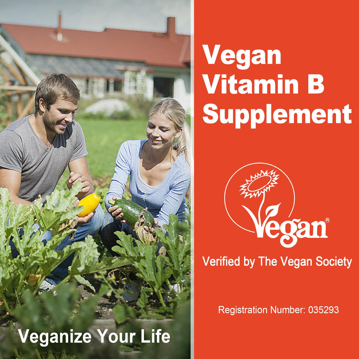Super Methylated Vitamin B Complex Gummies – 8 B Vitamins + CoQ10, Magnesium