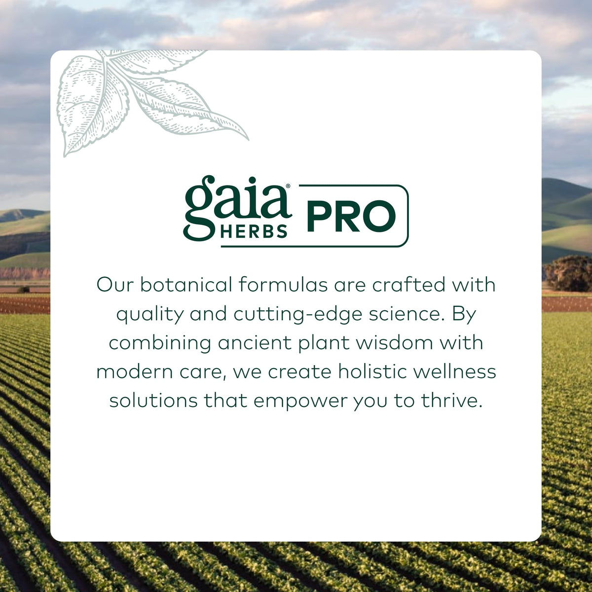 GAIA HERBS PRO Hawthorn – Cardiovascular & Circulation Support – Organic Hawthorn Berry, 60 Liquid Phyto-Capsules