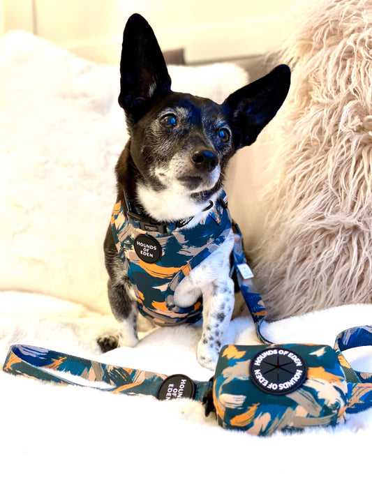 'Brush it Off’ - Olive, Blue & Orange Camo Pattern Poop/Treat Bag Holder