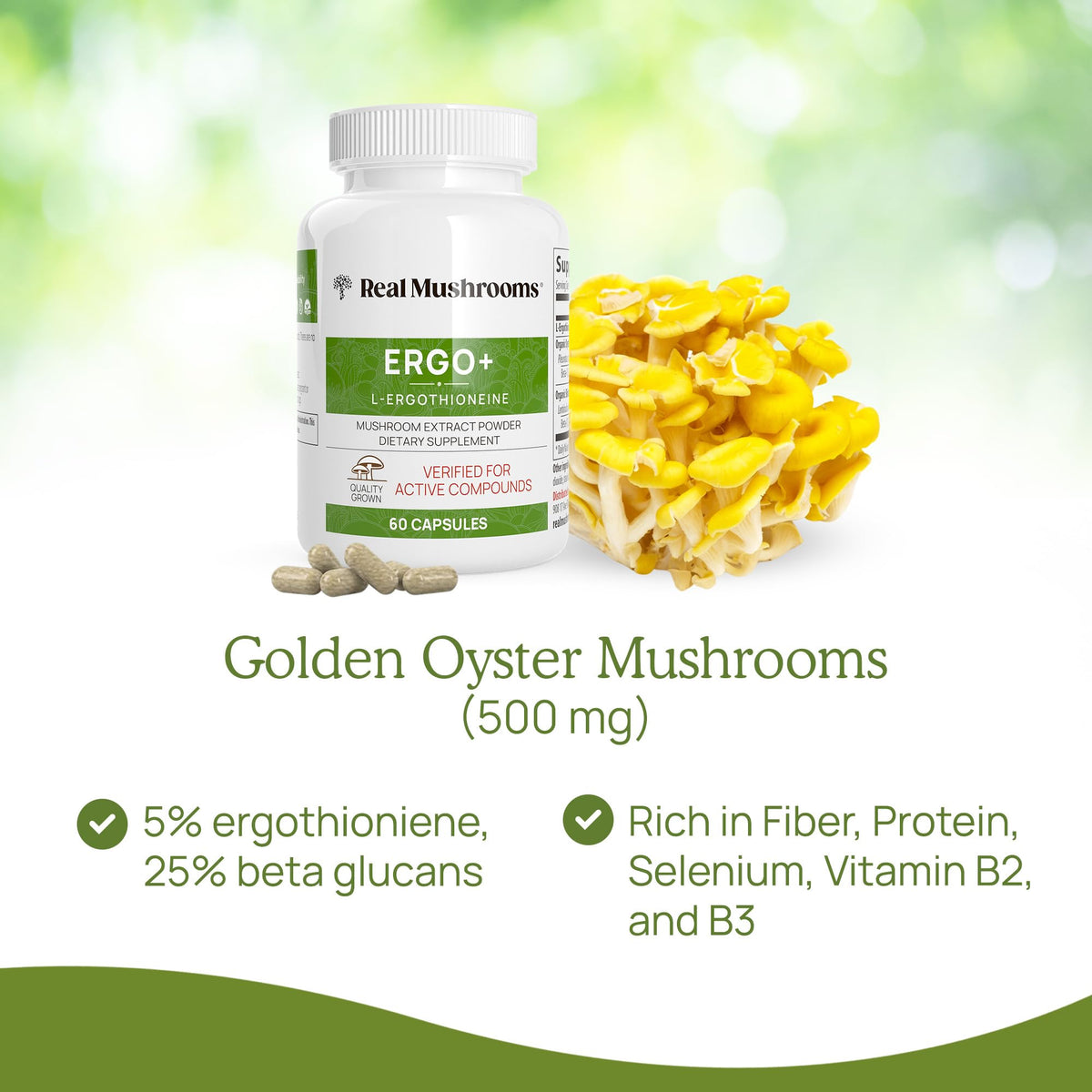 Real Mushrooms Ergothioneine Supplement – Golden Oyster Mushroom Extract, 60 Capsules – Organic, Vegan, Non-GMO