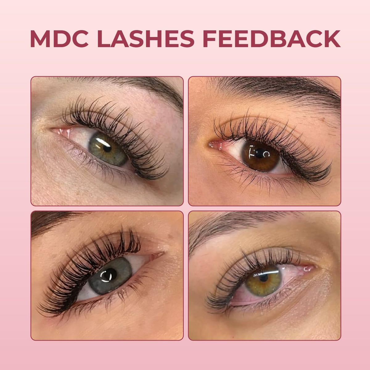 MDC LASHES Promade Eyelash Fans 1000 Count – Premade Volume Lashes 5D-20D | C/CC/D Curl, 10–18mm, 0.05/0.07