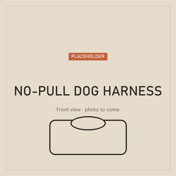 No-pull dog harness with handle, front view (placeholder)