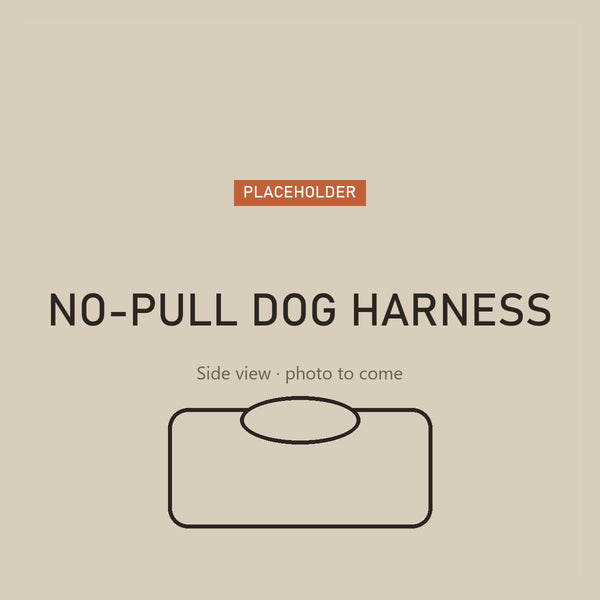 No-pull dog harness with handle, side view (placeholder)