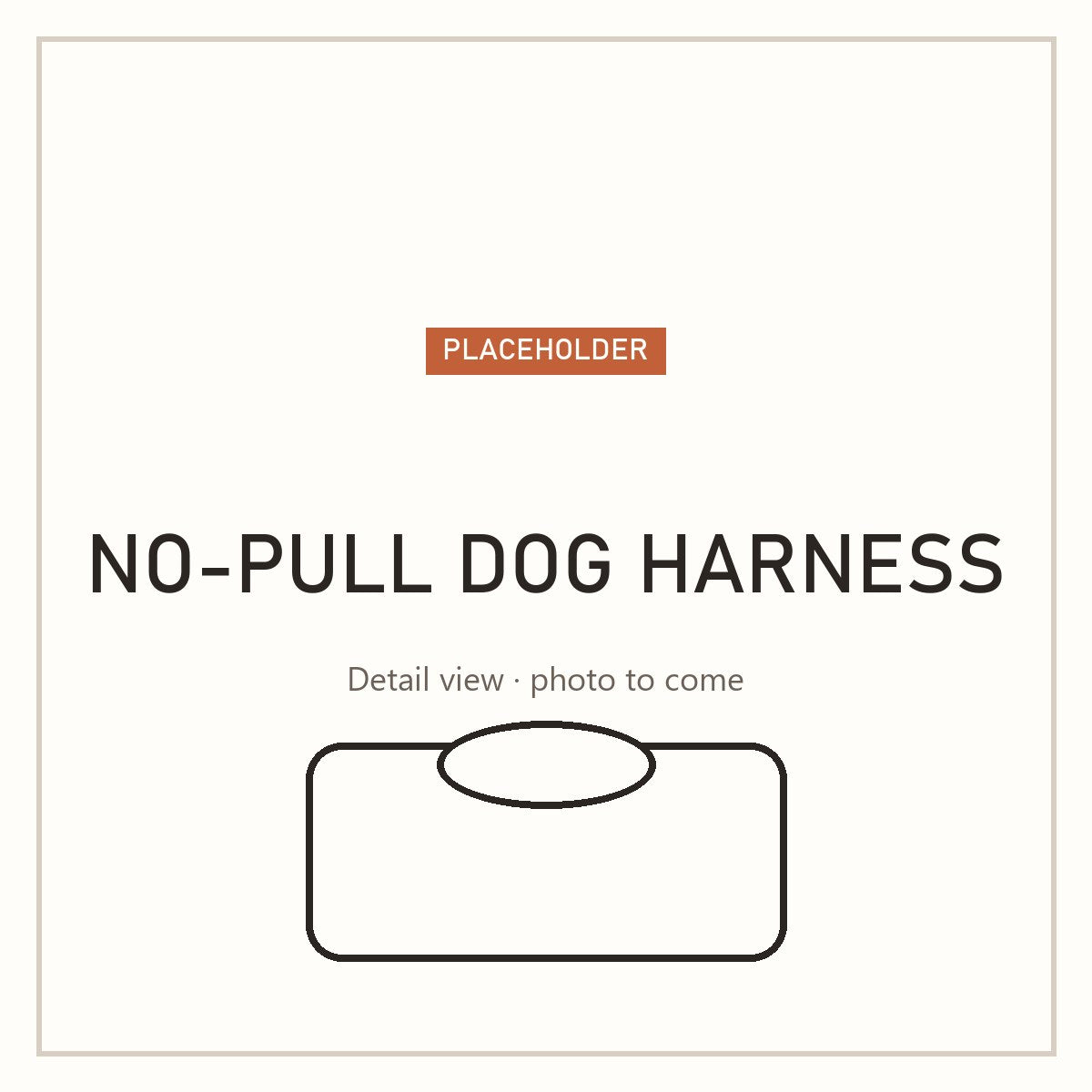 No-pull dog harness with handle, detail (placeholder)