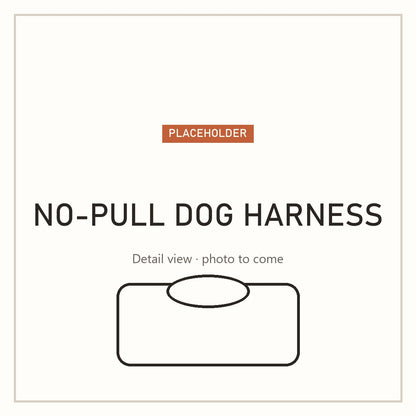 No-pull dog harness with handle, detail (placeholder)
