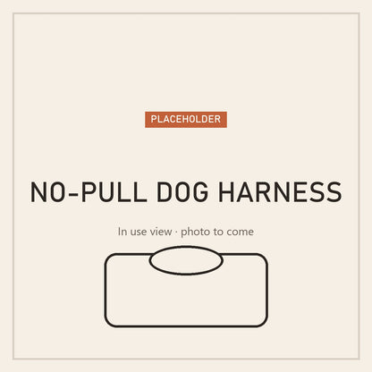 No-pull dog harness with handle, in use (placeholder)