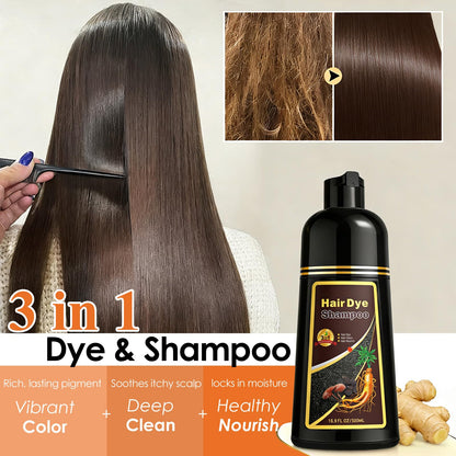 Sklight Hair Dye Shampoo 3-in-1 for Gray Coverage – Dark Coffee, 16.9 fl oz