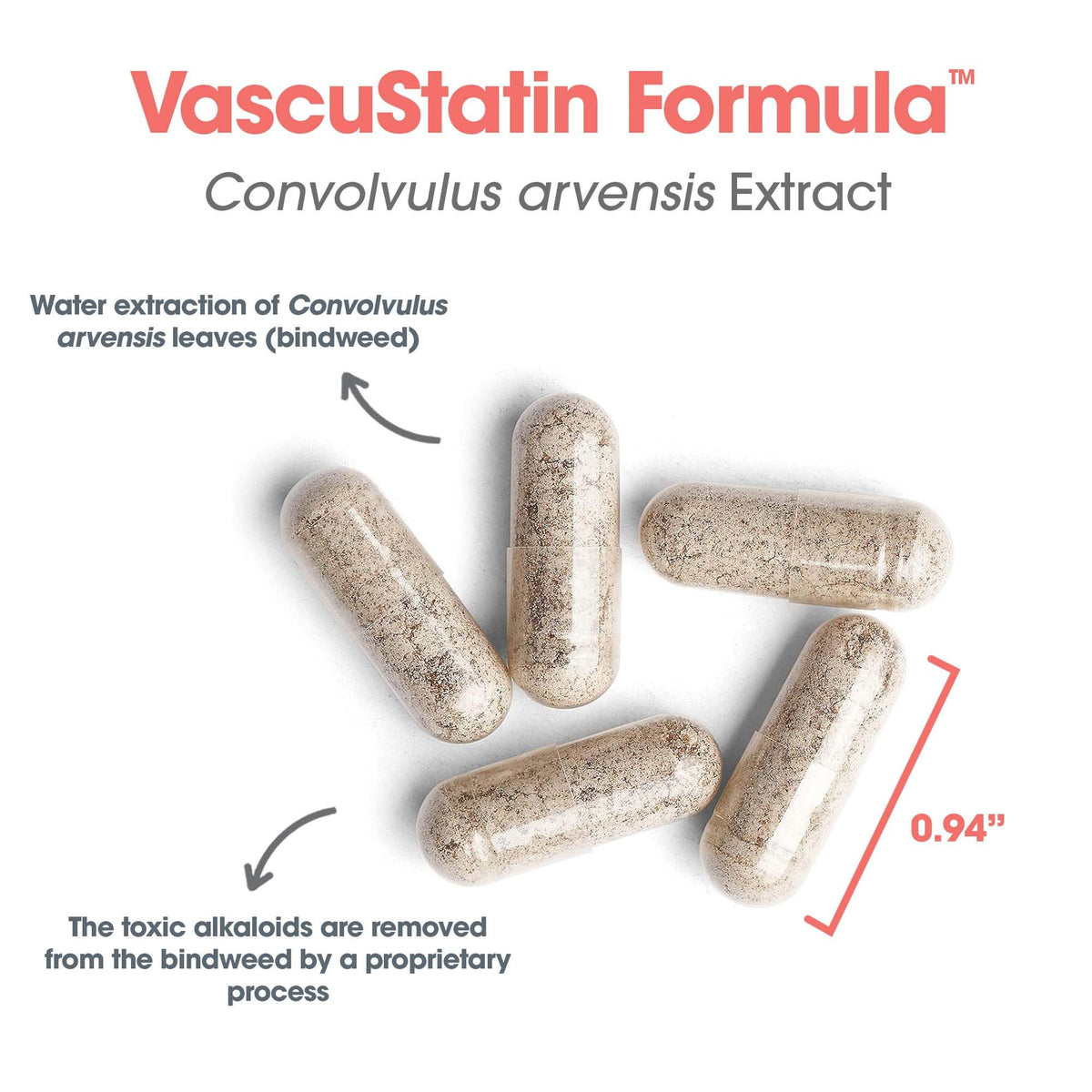 VascuStatin Formula with Convolvulus arvensis Extract - 120 Count | Allergy Research Group